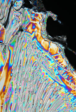 Micrograph of magnesium sulfate crystals polarized light
