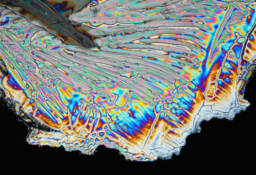 Micrograph of magnesium sulfate crystals polarized light