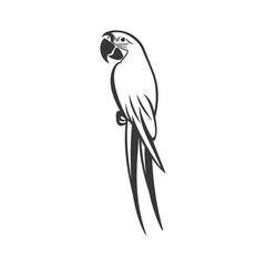 Fototapeta premium Black and White Line Drawing of a Parrot