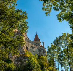 Forests surrounding the ruins of Bran Castle, Transylvania, Romania
