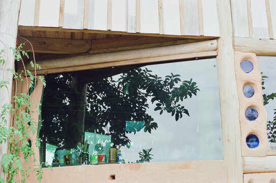 Fototapeta House window with a tree reflected in its glass 