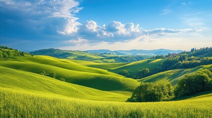 Fototapeta premium Serene countryside landscape with rolling hills