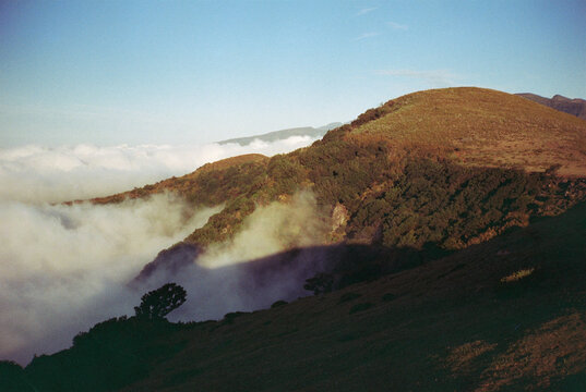 In the mountains at cloud level
