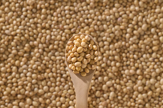 Wooden Spoon Filled with Soybeans Against Soybean Background