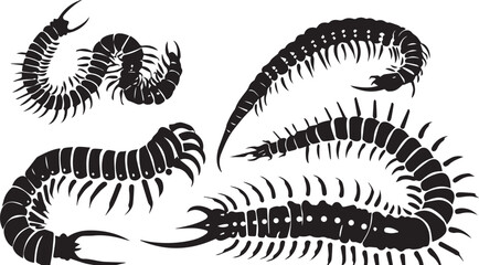 Set centipede. Hand drawn vector illustration	