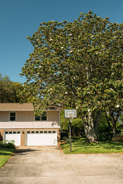 Home Exterior Driveway 