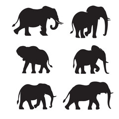 Silhouettes of elephants set vector  with white background 10eps