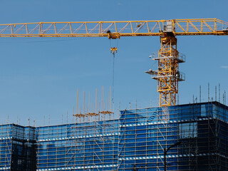 Construction Site with Tower Crane