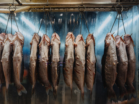 Hanging Fresh Fish