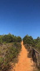 Camino de tierra en la playa