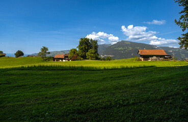 Obraz premium landscape with house