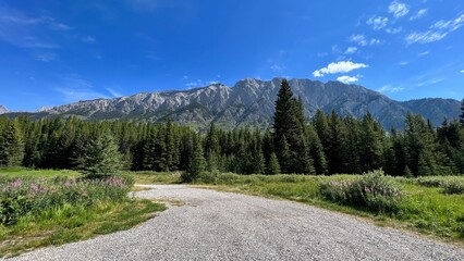 Fototapeta premium Beautiful mountain pass, driving through