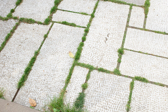 Close-up of outdoors stone pavement with green grass - Powered by Adobe