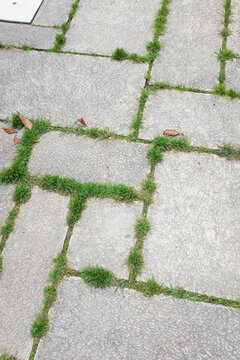 Close-up of outdoors stone pavement with green grass