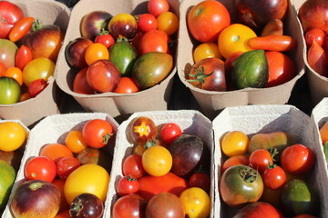 Verschiedene Arten von Tomaten