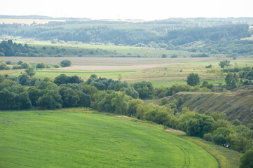 Fototapeta premium A beautiful riverbank with a green field and trees