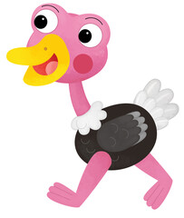 Cartoon happy animal bird ostrich safari isolated illustration for kids