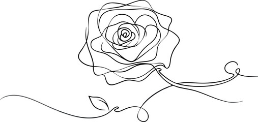 continuous single line drawing of  Rose, line art vector illustration