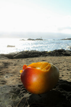 Mango at Beach
