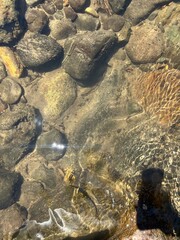 stones in water