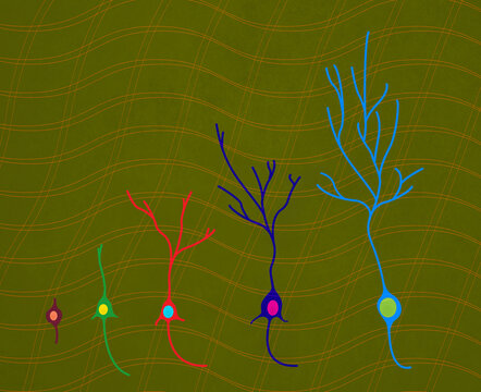 Neurogenesis Illustration. Neuron Development Concept.