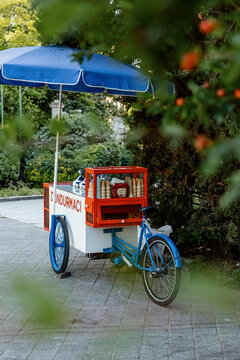 Traditional Turkish Ice Cream Cart in Park

