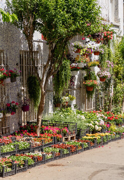 Colorful Flower Market with Hanging Pots

