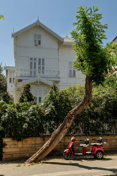 Historic white house with leaning tree

