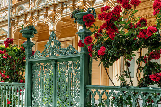 Ornate gate with vibrant red roses

