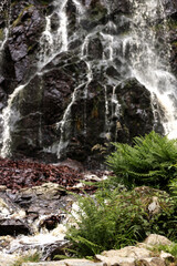 Mountain waterfall. Waterfall in the mountains in summer. Rocks