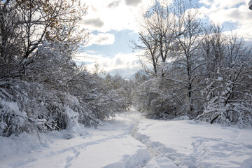 Landscape of South Park in city of Sofia, Bulgaria