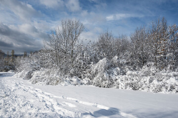Landscape of South Park in city of Sofia, Bulgaria