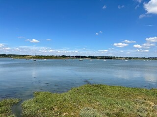 Daytime at the river