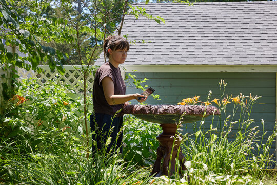 Woman painting bird bath