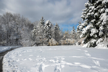 Landscape of South Park in city of Sofia, Bulgaria