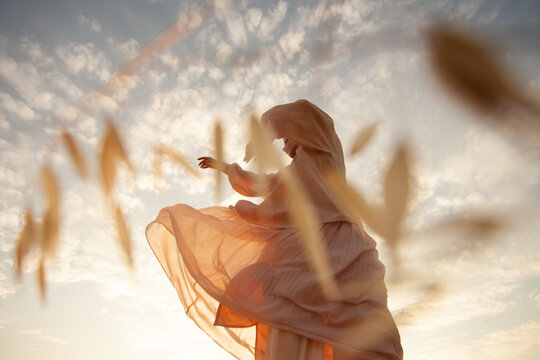 Dance in beige in the blue sky 