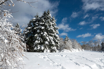 Landscape of South Park in city of Sofia, Bulgaria