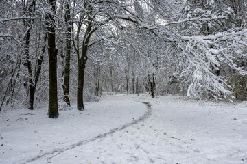 Landscape of South Park in city of Sofia, Bulgaria