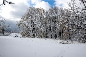 Landscape of South Park in city of Sofia, Bulgaria
