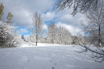 Landscape of South Park in city of Sofia, Bulgaria