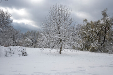 Landscape of South Park in city of Sofia, Bulgaria