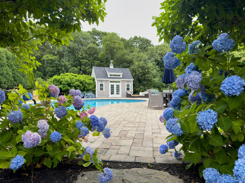 Backyard swimming Luxury Pool lined with Hydrangea Flowers