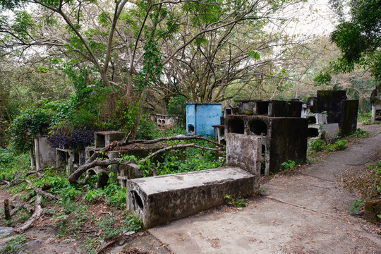 Mysterious abandoned cemetery