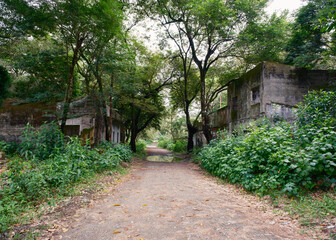 Street of a city destroyed by a natural disaster
