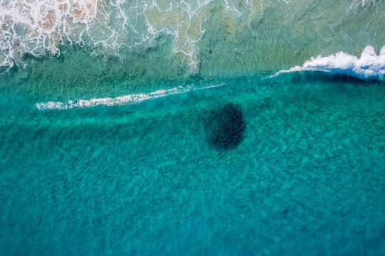 Shark and salmon ball aerial view with wave breaking