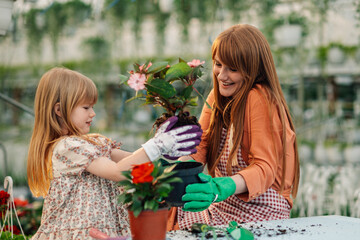Smiling mom and girl florists planting flower into a pot at hothouse.