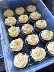cupcakes with buttercream frosting 