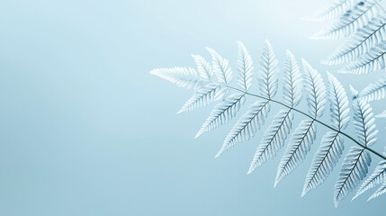 Obraz premium a delicate fern leaf with fine details against an isolated cool misty blue background