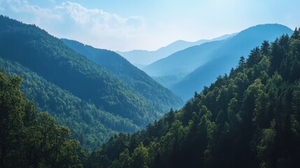 Obraz premium A scenic view of a forested mountain range, with layers of trees extending down the slopes and a clear blue sky overhead.