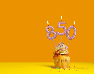 Birthday celebration with cupcake - Candle number 850